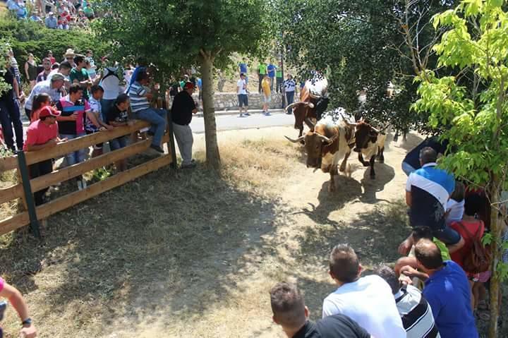 בית הארחה Guadalaviar 	Casa Rural Martina מראה חיצוני תמונה